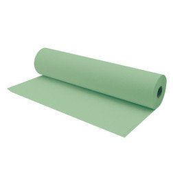 ROLLOS PAPEL CAMILLA 40 SERVICIOS VERDE