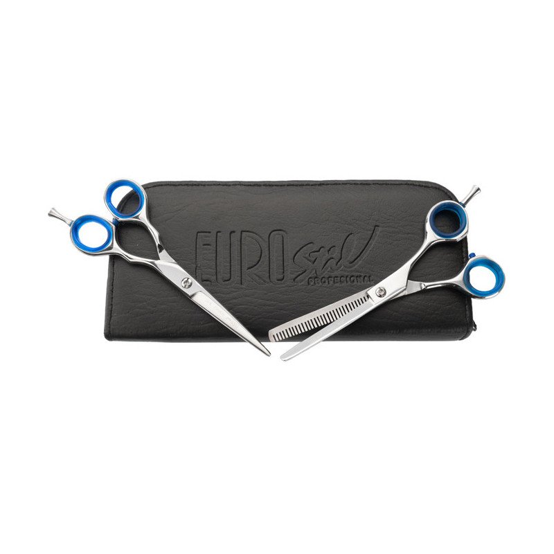ESTUCHE ACADEMIA 2 TIJERAS BRILLO MICRO DENT.