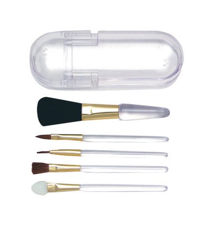 SET 5 PINCELES