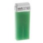 ROLL-ON CERA 100 ML. ALOE VERA