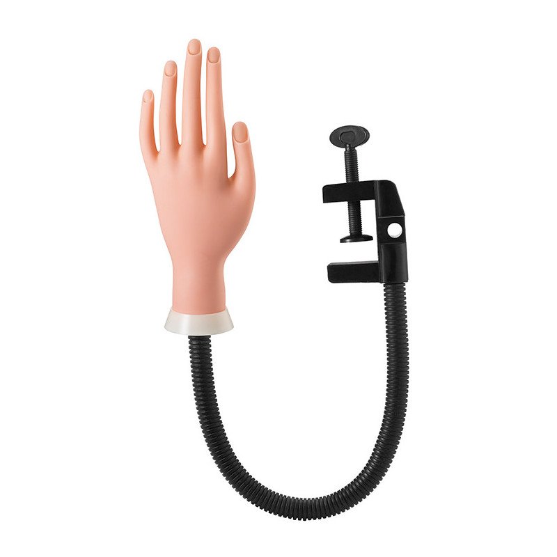 MANO PRACTICAS MANICURA CON SOPORTE