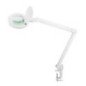 LUPA ESTETICA 5 DIOPTRIAS SMD LED FRIO/CALIDO