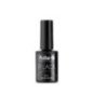 TOP COAT NO WIPE