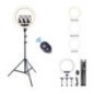 ARO LUZ LED D.45 CM CON TRIPODE
