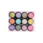 GLITTER PARA NAIL ART SURTIDOS 16 G X 12 COLORES