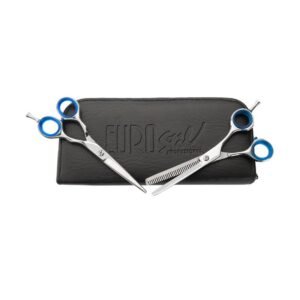 ESTUCHE ACADEMIA 2 TIJERAS BRILLO MICRO DENT.